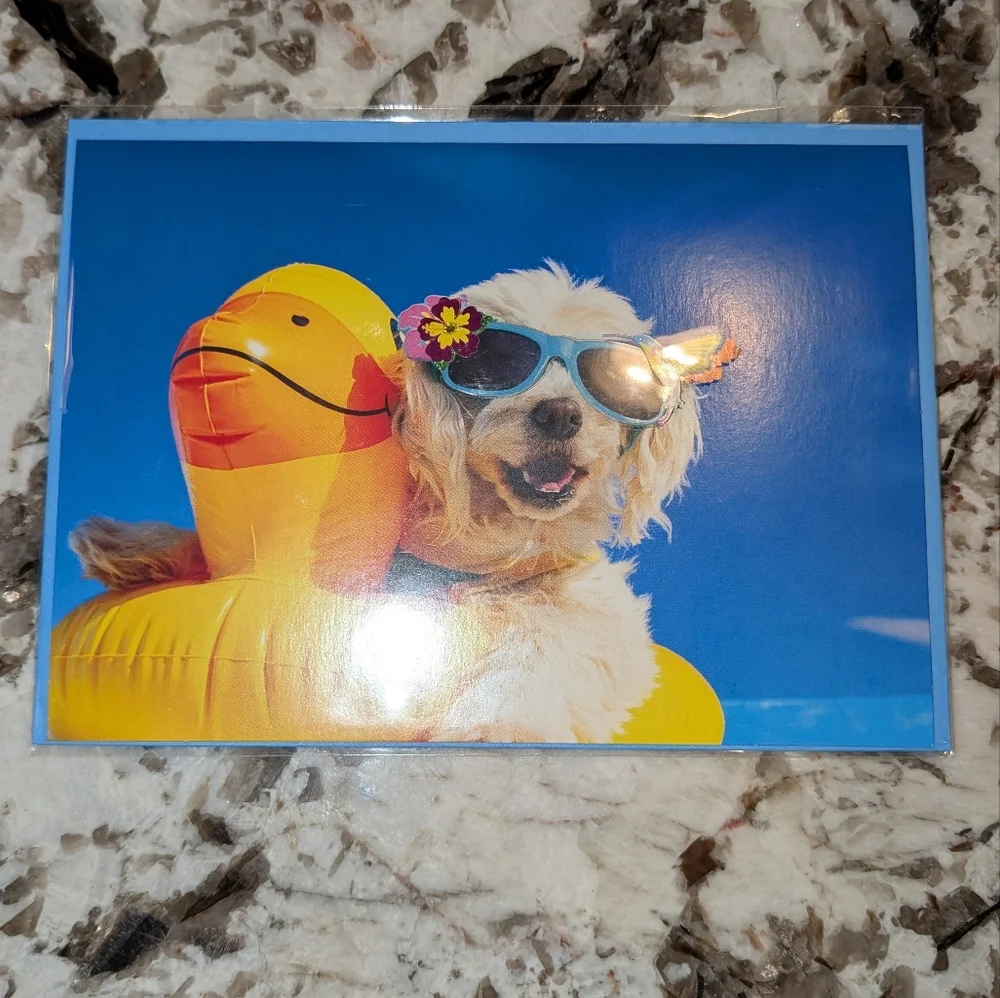 NWT Bundle Of 7 Summer Inspired Blank Greeting Cards